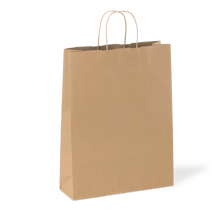 C210S0010C__PAPERPAK_#18_LARGE_PAPER_TWIST_HANDLE_BAG_RECYCLED_03_DS