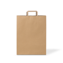 C346S0010B__PAPERPAK_#80_FLAT_FOLD_HANDLE_BAG_NATURAL_FLAT_DS