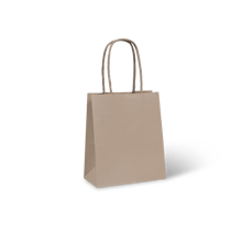 C347S0010_PAPERPAK_#2_PAPER_TWIST_HANDLE_BAG_BROWN