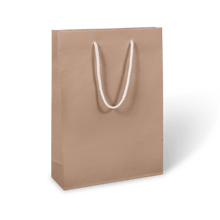 C162S0010N_PAPERPAK_TRIPLE_BOTTLE_BAG_ROPE_HANDLE_BROWN