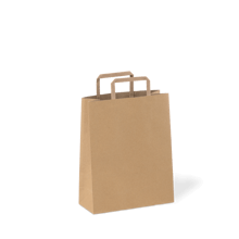 c209s0010b_paperpak_60_flat_fold_handle_bag_recycled_03_ds