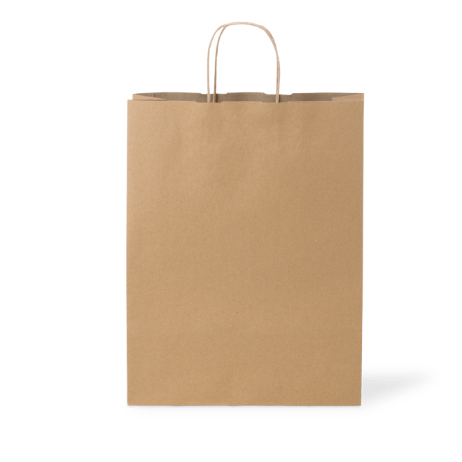 C210S0010C__PAPERPAK_#18_LARGE_PAPER_TWIST_HANDLE_BAG_RECYCLED_02