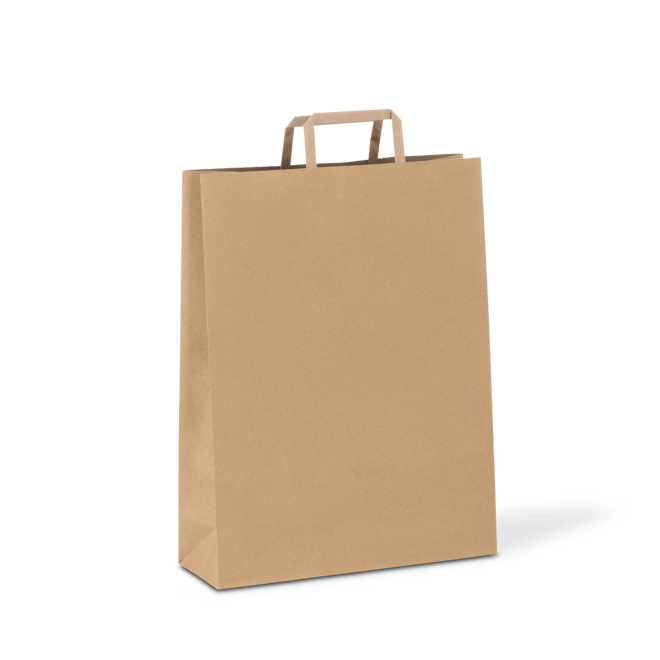 C346S0010B__PAPERPAK_#80_FLAT_FOLD_HANDLE_BAG_NATURAL_DS