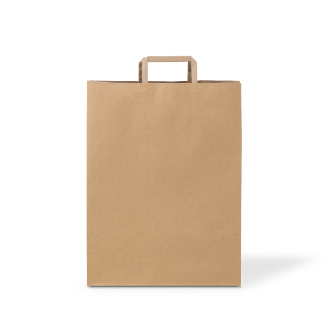 C346S0010B__PAPERPAK_#80_FLAT_FOLD_HANDLE_BAG_NATURAL_FLAT_DS