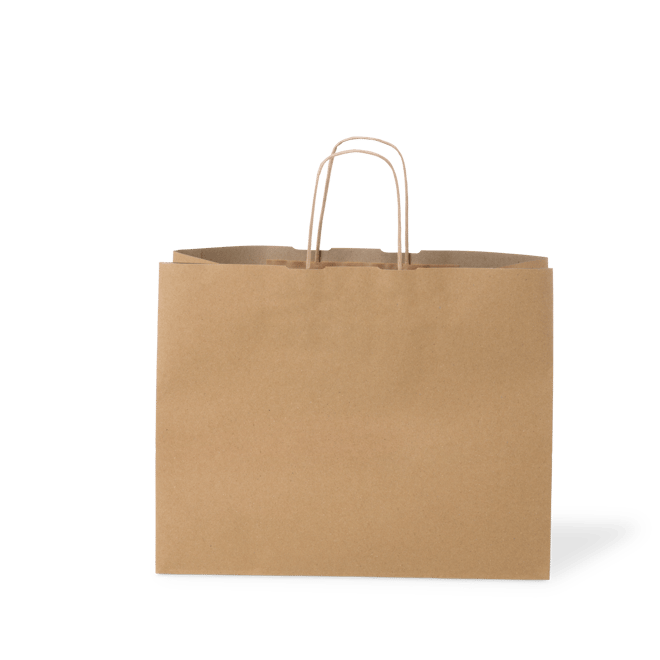 C598S0010A_PAPERPAK_#22SH_MEDIUM_PAPER_TWIST_HANDLE_BAG_RECYCLED_02_DS
