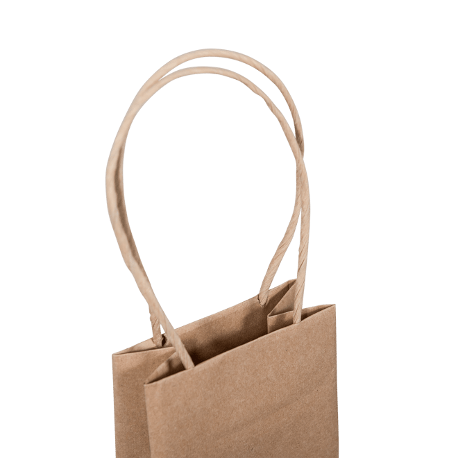 C101S0010N_PAPERPAK_1_BOTTLE_BAG_PAPER_TWIST_HANDLE_BROWN_HANDLE