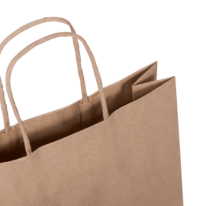 C348S0010N_PAPERPAK_2_BOTTLE_BAG_PAPER_TWIST_HANDLE_BROWN_HANDLE