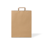 C346S0010B__PAPERPAK_#80_FLAT_FOLD_HANDLE_BAG_NATURAL_FLAT_DS