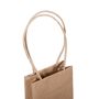 C101S0010N_PAPERPAK_1_BOTTLE_BAG_PAPER_TWIST_HANDLE_BROWN_HANDLE
