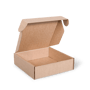 M667S0010_PAPERPAK_3_BOTTLE_LAYDOWN_CARTON_BROWN