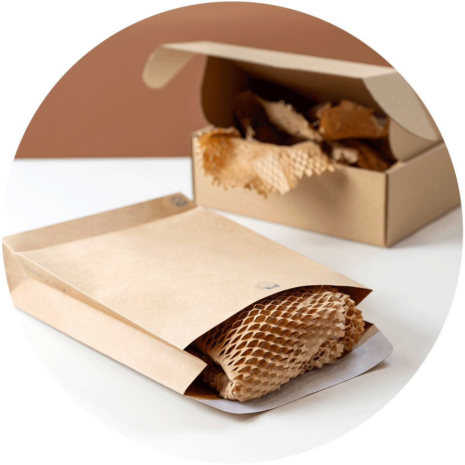 Paper postage satchel and carton