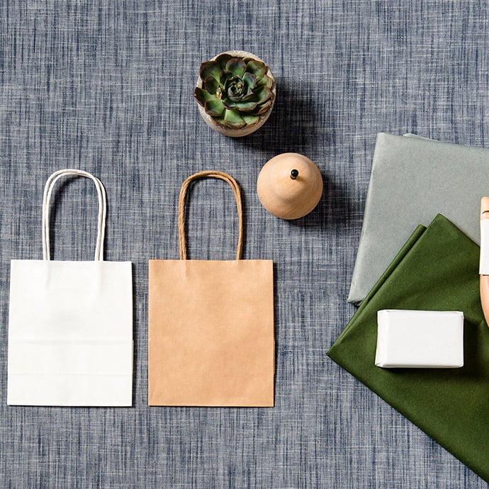 Image of a pot plant and two small petite paper bags from PaperPak