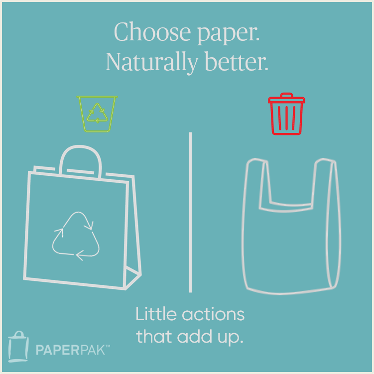 Image showing paper bags can be recycled and live again where plastic bags are sent to landfill