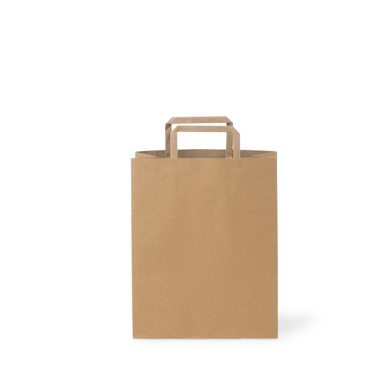 C209S0010B_PAPERPAK_#60_FLAT_FOLD_HANDLE_BAG_RECYCLED_02_DS
