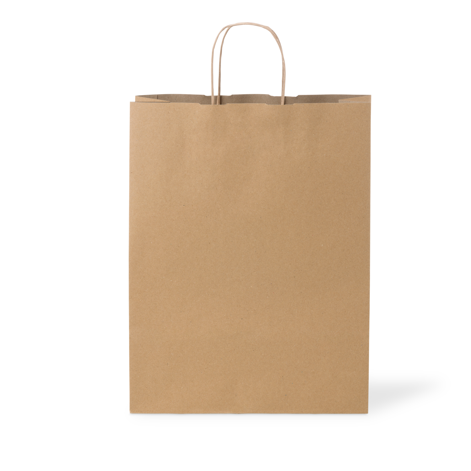 C210S0010C__PAPERPAK_#18_LARGE_PAPER_TWIST_HANDLE_BAG_RECYCLED_02