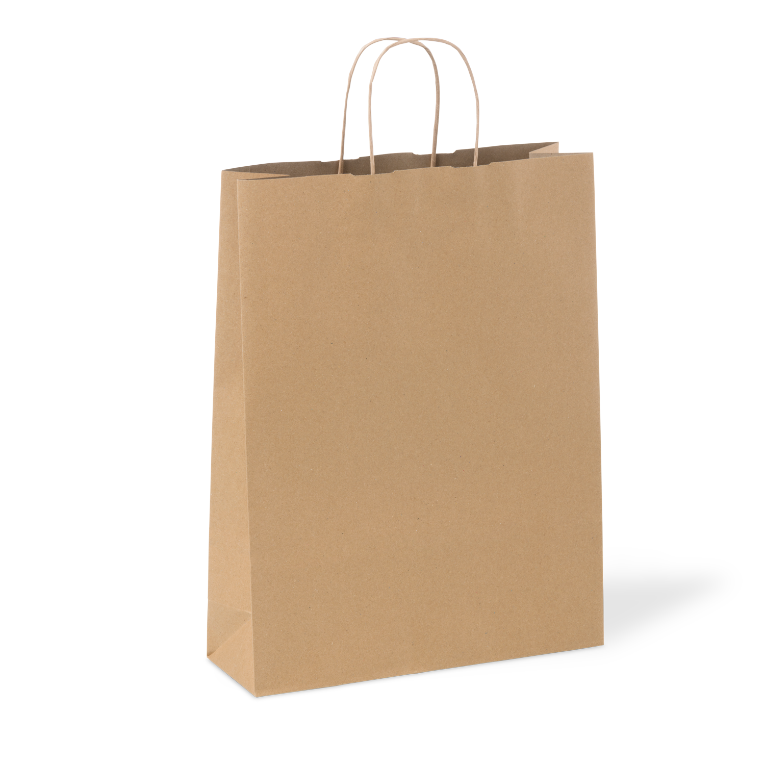 C210S0010C__PAPERPAK_#18_LARGE_PAPER_TWIST_HANDLE_BAG_RECYCLED_03_DS