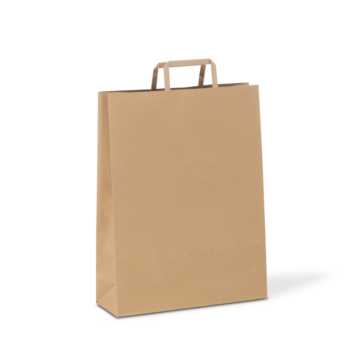 C346S0010B__PAPERPAK_#80_FLAT_FOLD_HANDLE_BAG_NATURAL_DS