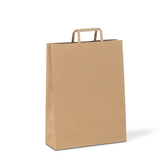 C346S0010B__PAPERPAK_#80_FLAT_FOLD_HANDLE_BAG_NATURAL_DS