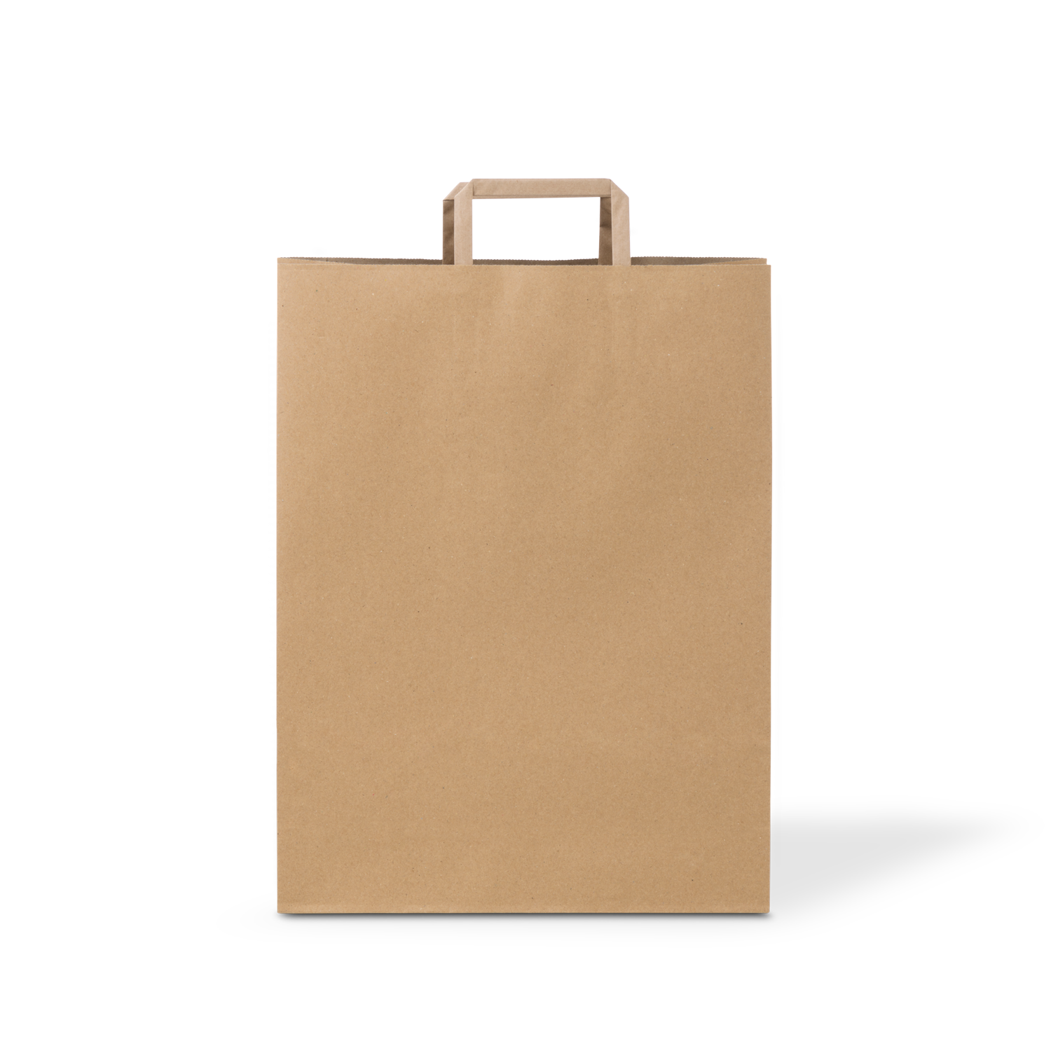 C346S0010B__PAPERPAK_#80_FLAT_FOLD_HANDLE_BAG_NATURAL_FLAT_DS