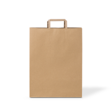 C346S0010B__PAPERPAK_#80_FLAT_FOLD_HANDLE_BAG_NATURAL_FLAT_DS