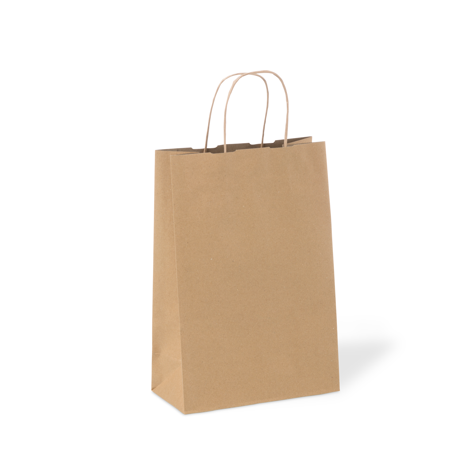 C493S0010D__PAPERPAK_#16_MEDIUM_PAPER_TWIST_HANDLE_BAG_RECYCLED_03_DS