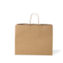 C598S0010A_PAPERPAK_#22SH_MEDIUM_PAPER_TWIST_HANDLE_BAG_RECYCLED_02_DS