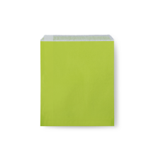 A163S0054_PAPERPAK_SMALL_FLAT_BAG_LIME_GREEN