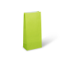 C286S0054_PAPERPAK_#3_GIFT_BAG_LIME