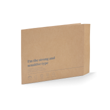 B258S0356_PAPERPAK_LARGE_MAILING_SATCHEL_NATURAL