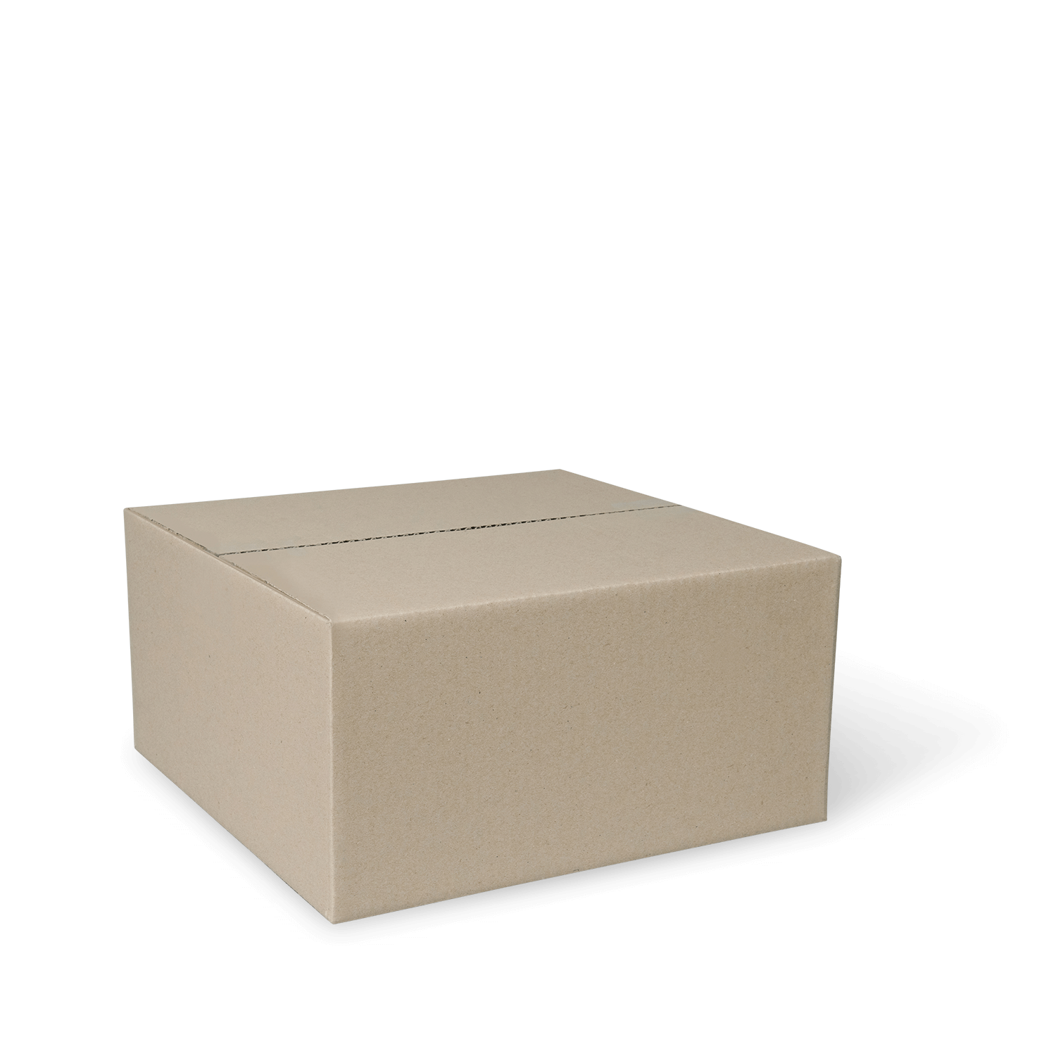 Q903P1199_PAPERPAK_LARGE_MAILING_PACK_BROWN