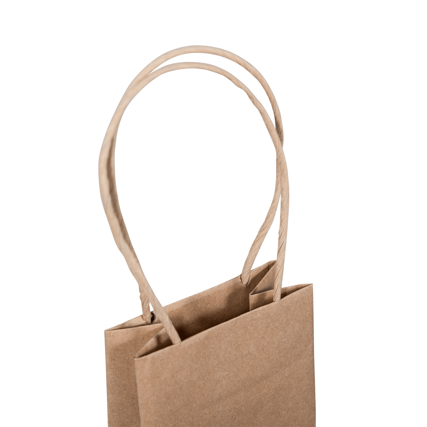 C101S0010N_PAPERPAK_1_BOTTLE_BAG_PAPER_TWIST_HANDLE_BROWN_HANDLE