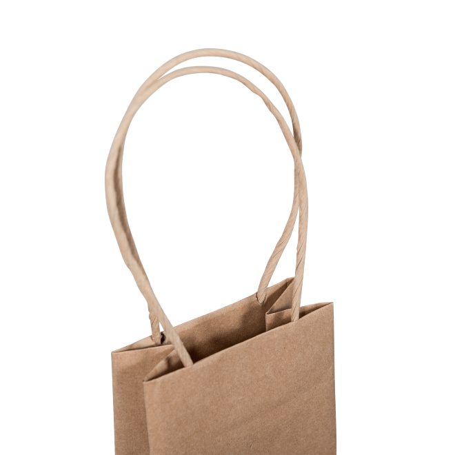 C101S0010N_PAPERPAK_1_BOTTLE_BAG_PAPER_TWIST_HANDLE_BROWN_HANDLE