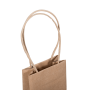 C101S0010N_PAPERPAK_1_BOTTLE_BAG_PAPER_TWIST_HANDLE_BROWN_HANDLE