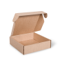 M667S0010_PAPERPAK_3_BOTTLE_LAYDOWN_CARTON_BROWN