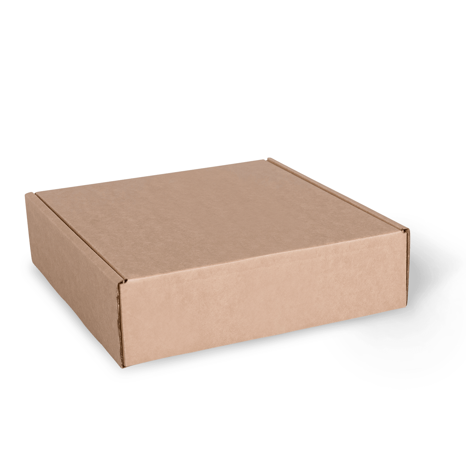 M667S0010_PAPERPAK_3_BOTTLE_LAYDOWN_CARTON_BROWN_CLOSED