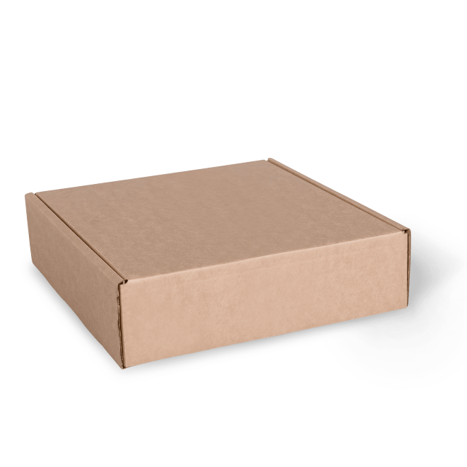 M667S0010_PAPERPAK_3_BOTTLE_LAYDOWN_CARTON_BROWN_CLOSED